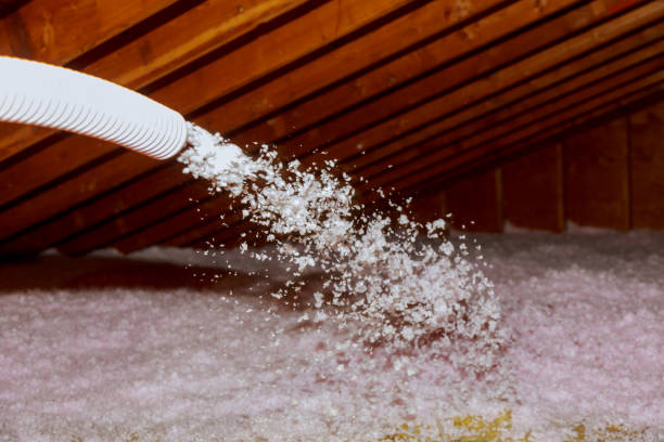 Best Commercial Insulation Services  in Sulphur, LA